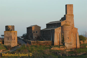 Stefano Scipioni &copy;