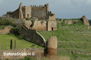 Stefano Scipioni &copy;