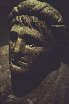 Stefano Scipioni &copy;