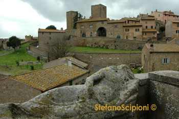 Stefano Scipioni &copy;